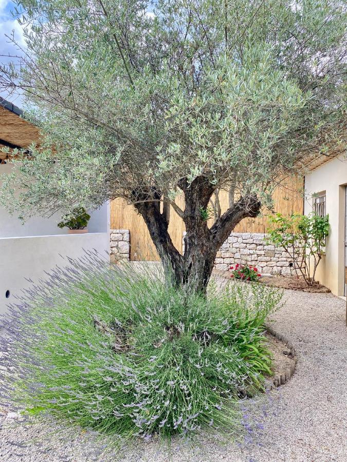 Ferienwohnung Le Cabanon Valbonne Exterior foto